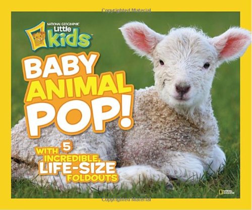 Baby Animal Pop!: With 5 Incredible, Life-Size Fold-Outs by National Geographic