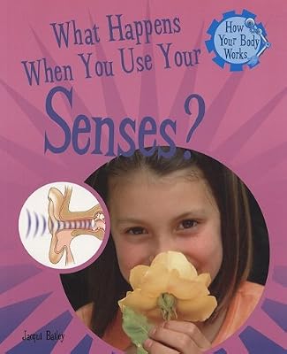 What Happens When You Use Your Senses? (How Your Body Works)