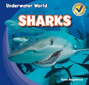 Sharks (Underwater World)