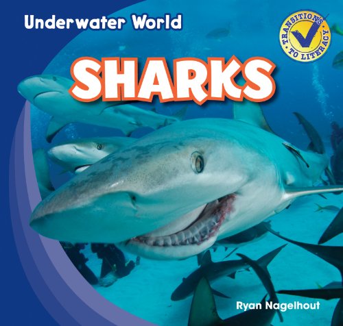 Sharks (Underwater World) by Ryan Nagelhout
