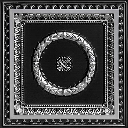 Algopix Similar Product 19 - From Plain To Beautiful In Hours