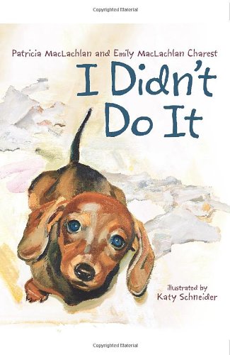 I Didn't Do It by Patricia MacLachlan