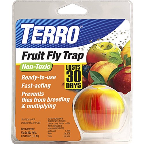 TERRO Fruit Fly Trap