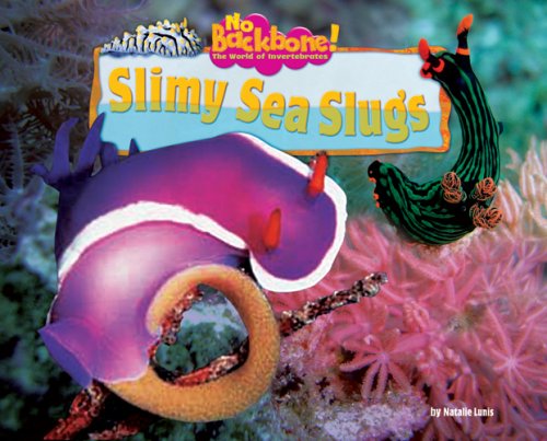 Slimy Sea Slugs by Natalie Lunis
