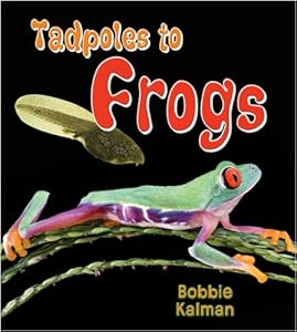 Tadpoles to Frogs (It's Fun to Learn about Baby Animals)