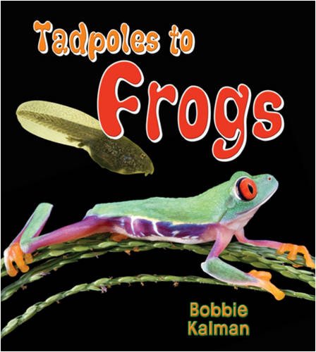 Tadpoles to Frogs (It's Fun to Learn about Baby Animals) by Bobbie Kalman