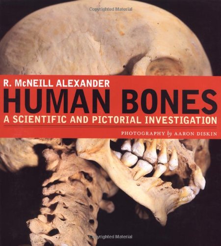 Human Bones: A Scientific and Pictorial Investigation by R. McNeill Alexander