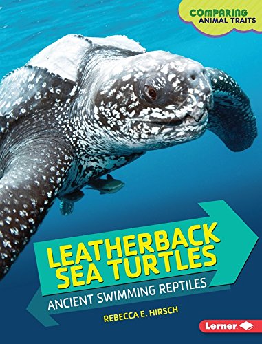 Leatherback Sea Turtles: Ancient Swimming Reptiles by Rebecca Hirsch