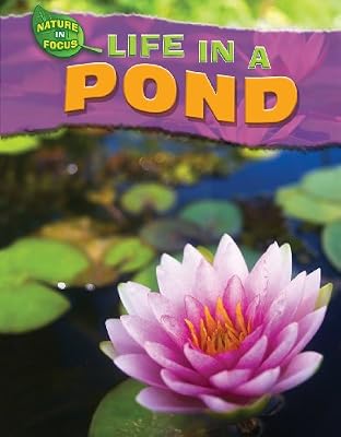 Life in a Pond