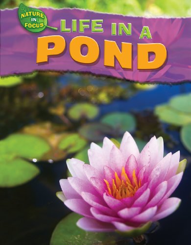 Life in a Pond by Adam Hibbert