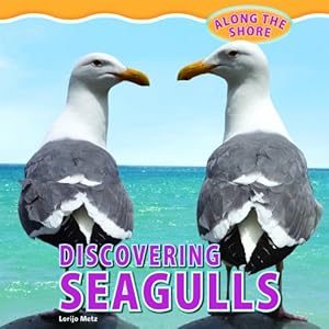 Discovering Seagulls