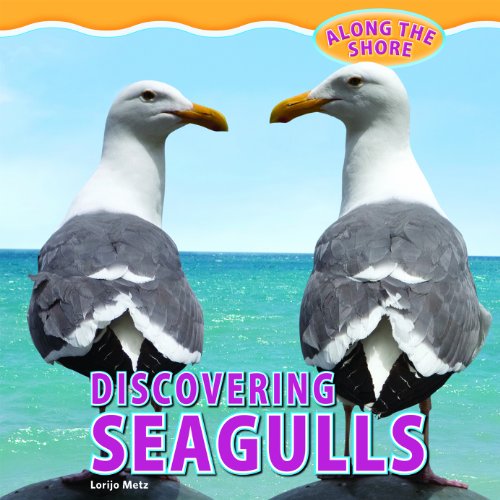 Discovering Seagulls by Lorijo Metz