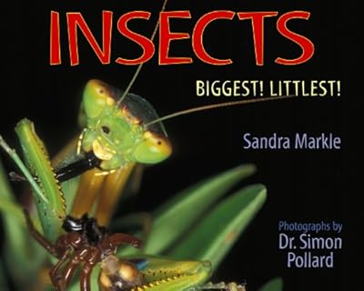 Insects: Biggest! Littlest!