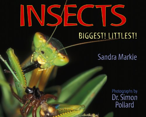 Insects: Biggest! Littlest! by Sandra Markle