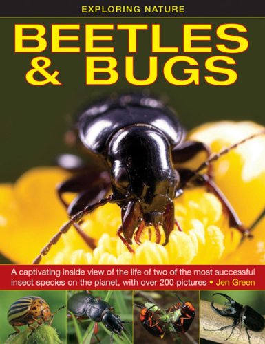 Exploring Nature: Beetles &amp; Bugs: A Captivating Inside View Of The Life Of Two Of The Most Successful Insect Species On The Planet, With Over 200 Pictures. by Jen Green