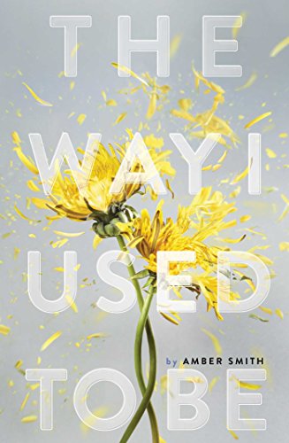 The Way I Used to Be by Amber Smith
