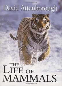 The Life of Mammals
