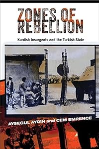 Zones of Rebellion: Kurdish Insurgents and the Turkish State by Aysegul Aydin