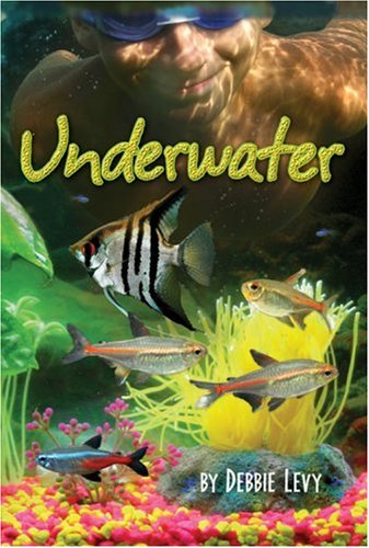Underwater (Darby Creek Exceptional Titles) by Debbie Levy