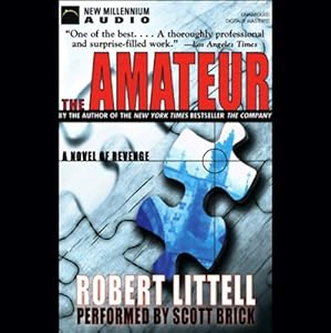 The Amateur: A Novel of Revenge