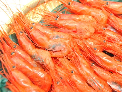 訳あり/北海道産 甘エビ １キロ【甘えび】 【赤エビ】 【南蛮エビ】 【獲れたて冷蔵発送】たっぷり古平沖獲れ