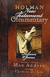 HOLMAN NT COMMENT