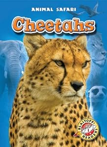 Cheetahs by Megan Borgert-Spaniol