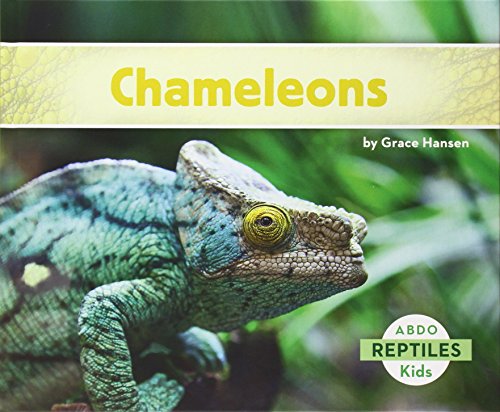 Chameleons by Grace Hansen