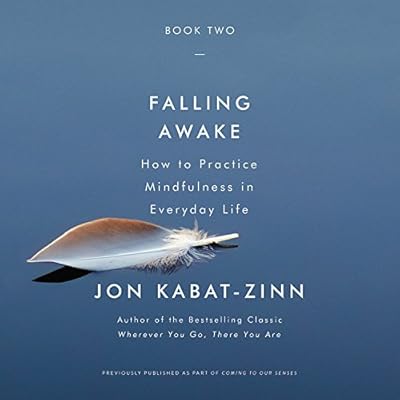 Falling Awake: How to Practice Mindfulness in Everyday Life
