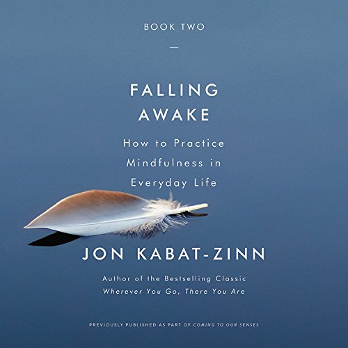 Falling Awake: How to Practice Mindfulness in Everyday Life by Jon Kabat-Zinn