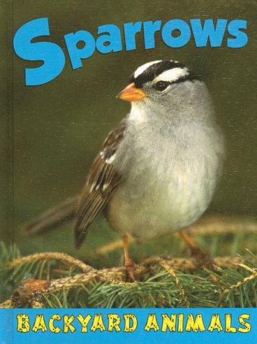 Sparrows by Christine Webster