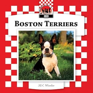 Boston Terriers by Jill C. Wheeler