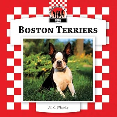 Boston Terriers