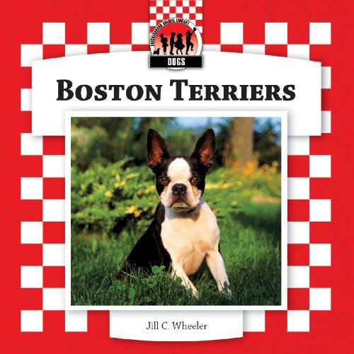 Boston Terriers by Jill C. Wheeler
