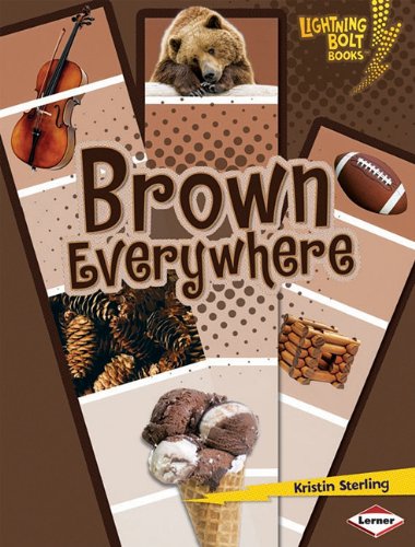 Brown Everywhere by Kristin Sterling