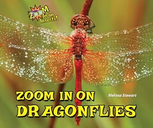 Zoom in on Dragonflies
