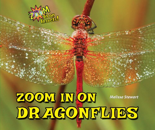 Zoom in on Dragonflies by Melissa Stewart