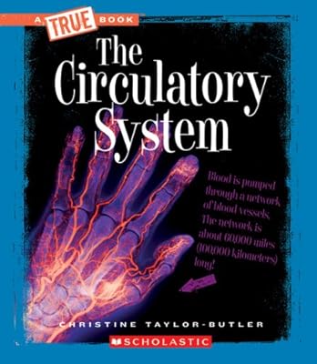 The Circulatory System