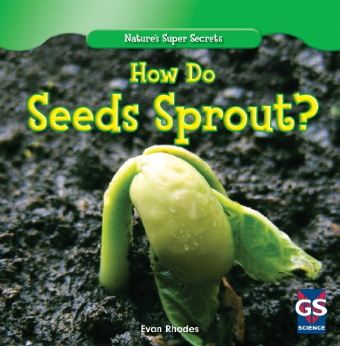 How Do Seeds Sprout? by Evan Rhodes