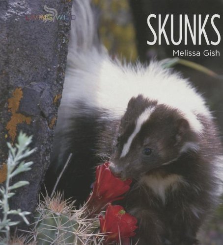 Skunks by Melissa Gish