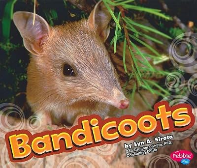 Bandicoot (Pebble Plus: Australian Animals)