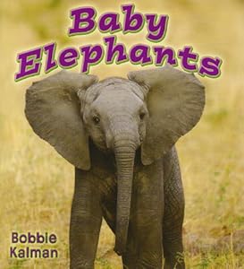 Baby Elephants (It's Fun to Learn about Baby Animals)