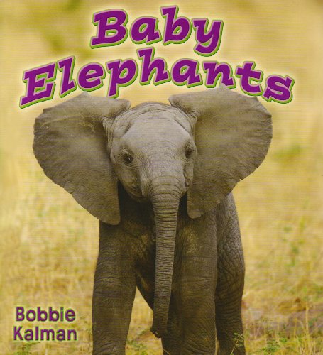 Baby Elephants (It's Fun to Learn about Baby Animals) by Bobbie Kalman