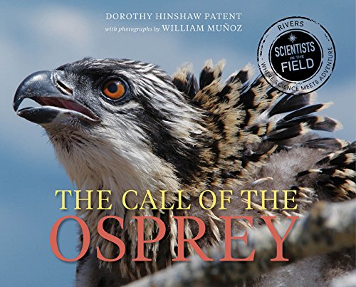The Call of the Osprey (Scientists in the Field Series)