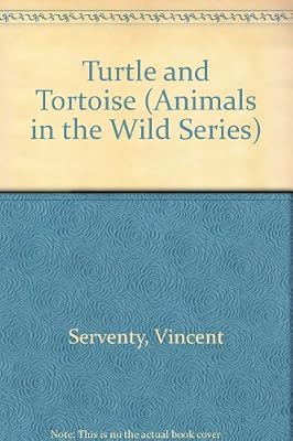 Turtle and Tortoise