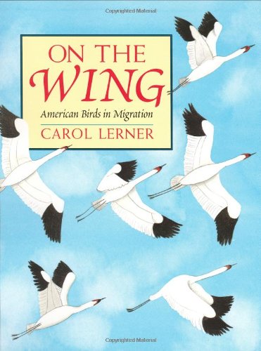On the wings by Carol Lerner
