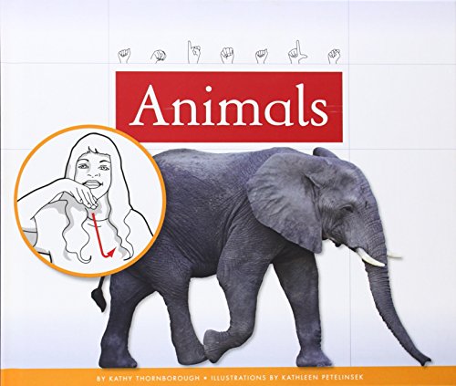 Animals by Kathy Thornborough