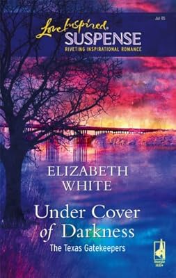 Under Cover of Darkness (The Texas Gatekeepers)