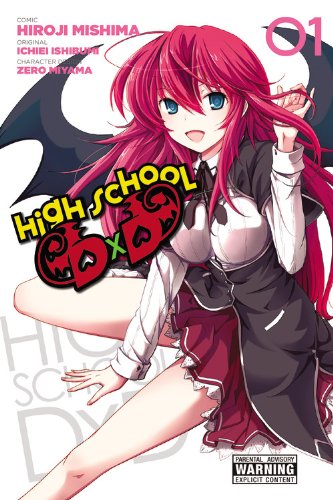 High School DxD, Vol. 1 by Ichiei Ishibumi