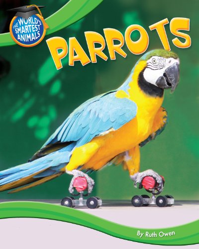 Parrots by Ruth Owen